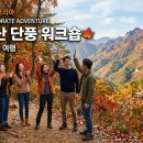 남도기업(주) | 가을 기업 단체여행 인센티브 여행 코스 추천