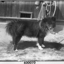 당구사냥 이미지