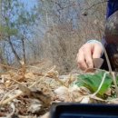 동천농장 이미지