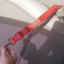 리틀애견 이미지