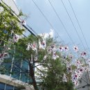 온양3동사무소 이미지