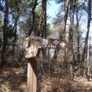 청수주유소 이미지