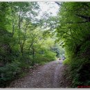 서샘물목장 이미지