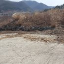 용진부동산공인중개사사무소 네이버블로그