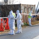 남평축산 이미지