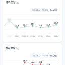 센트럴댄스요가
