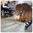 가고파헤어 이미지