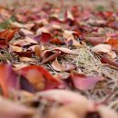 김철호 농장 이미지