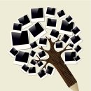 테솔어학원 이미지