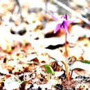 국립DMZ자생식물원방문자센터 이미지