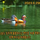 2023. 6. 29 목요일 비오는 아침 이미지