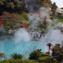 비즈트랜스 외국어번역 행정사사무소 이미지