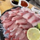 노량진 수산시장 횟집 대방어 방어회맛집 가성비횟집 - 오징어야 매운탕/대방어 내돈내산 후기 웨이팅 예약