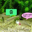 미유기님의 작품세계 이미지
