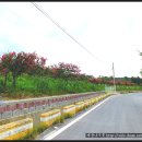 동호농장 이미지