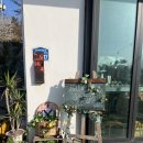 고고펜션 | 힐링여행 영흥도 오션뷰펜션 토브투펜션 후기