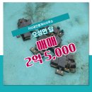 지산공인중개사사무소 이미지