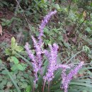 대방동 체육공원 이미지