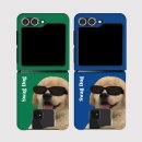 간지나개 이미지