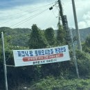 밥이랑술친구 | 구미 피크닉팜 | 경북 뷰 좋은 캠핑장, 마운틴뷰 캠핑장, H6 사이트 후기, 내돈내산