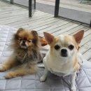 코코플레이존 이미지
