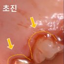 서울바정치과의원 이미지