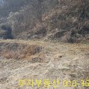 신덕보건진료소 네이버블로그