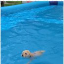 시화유치원 이미지