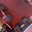 천계산장목포북항점 | [목포/북항] IFBB PRO 선수님의 아지트 SUMGYM 다녀왔어요