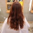 매트로펠리스Ⅱ-B 이미지