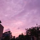 우공스테이 이미지