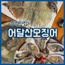 어달산오징어촌 이미지