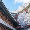 풍경하루 네이버블로그