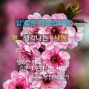 라이브공연단 입단가을이 품바가 수첫난장공연 이미지