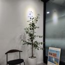 서울역마음정신건강의학과의원 이미지