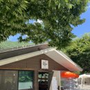 북면442 | [가평] 네스트캠핑장 연예인들이 찾는 캠핑장! 설원캠핑장추천 서울근교캠핑장 가평설경맛집