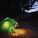 힐링팜스 (Healing Farms)