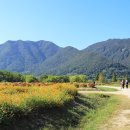 황산공원 이미지