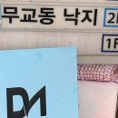 댕댕이 머리하는 날 | 인생 머리 찾았다! 분위기 좋은 신촌미용실 리얼 후기