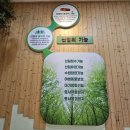 목재문화자연사체험관 이미지