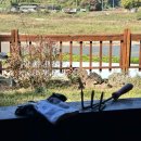 백현우외과의원 이미지