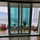 국제백양 이미지