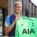 해리시장 이미지