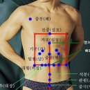 나만의 자석치료 방법 이미지