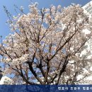 변호사조승우법률사무소
