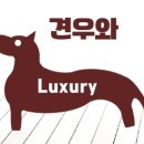 애니멀 하우스 이미지