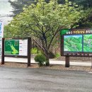칼봉산자연휴양림 | 가평 가 볼 만한 곳, 칼봉산 자연휴양림
