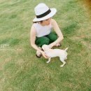 하쿠애견샵 이미지