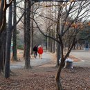 성호공원_식물원주변 이미지