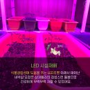 삼전비료 이미지